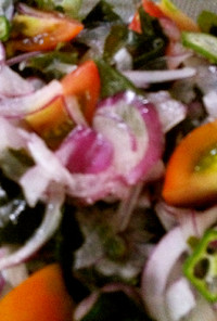 ★紫玉ねぎのネバネバ★サラダ