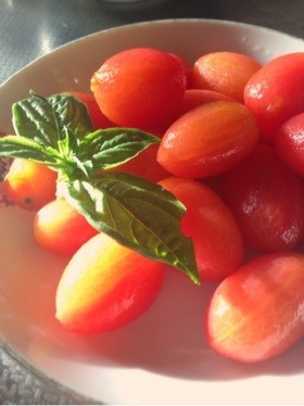 【プチトマト】アイコのシンプルサラダの画像