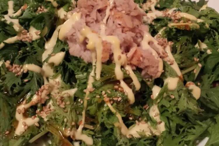 ツナとわさび菜の胡麻マヨラー油サラダ レシピ 作り方 By Rosenkranz クックパッド 簡単おいしいみんなのレシピが359万品