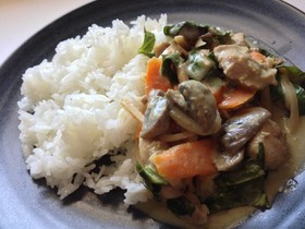 本格的なタイの味、グリーンカレー