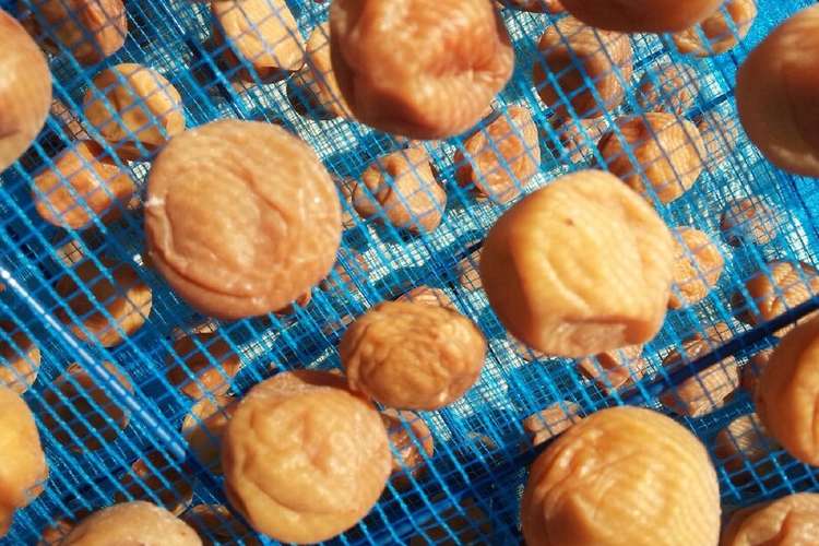 紀州南高梅干し レシピ 作り方 By ハルリュウセイ クックパッド 簡単おいしいみんなのレシピが358万品