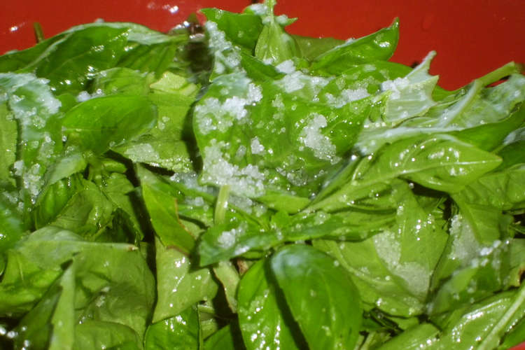 穴の開いた葉っぱを生で食べる時の注意 レシピ 作り方 By Toshiebaba クックパッド 簡単おいしいみんなのレシピが361万品