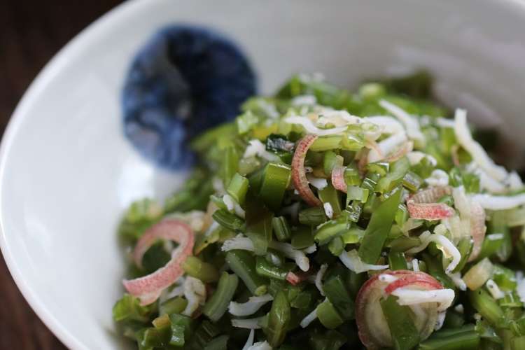 茎わかめとしらすと茗荷 レシピ 作り方 By Hoink クックパッド 簡単おいしいみんなのレシピが350万品