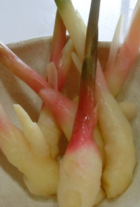 葉つき生姜の酢漬け　保存　