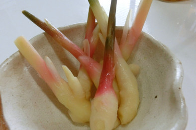 葉つき生姜の酢漬け　保存　の写真