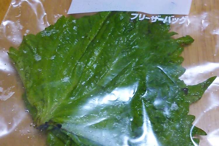 ズボラだけど1か月もつ 大葉の保存 レシピ 作り方 By 陽翔mam クックパッド 簡単おいしいみんなのレシピが352万品