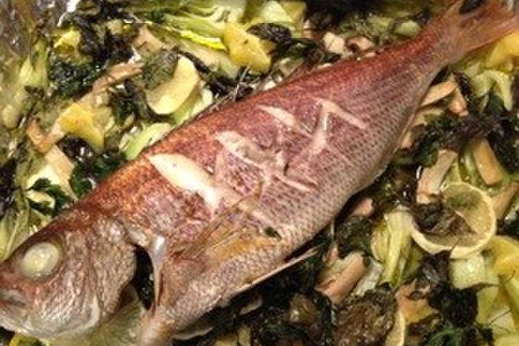白身魚のハーブdeオーブン焼き レシピ 作り方 By Pomai K クックパッド 簡単おいしいみんなのレシピが361万品