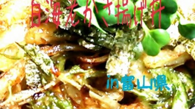 ご当地丼 白海老かき揚げ丼in富山県 レシピ 作り方 By サヤ晴ママ クックパッド 簡単おいしいみんなのレシピが354万品