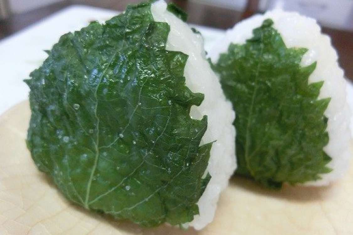 青シソ塩漬け シソの葉おにぎり レシピ 作り方 By あとくんタイム クックパッド 簡単おいしいみんなのレシピが379万品