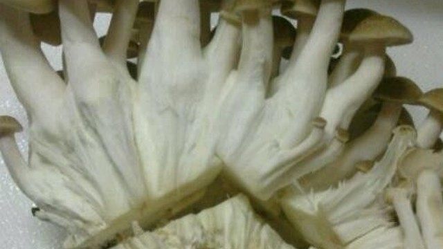 公式 しめじの切り方 まな板不要 レシピ 作り方 By ａｋ123 クックパッド 簡単おいしいみんなのレシピが353万品