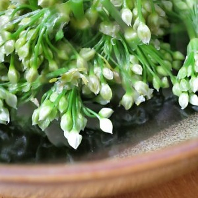 ニラの花のおひたし レシピ 作り方 By 忠犬 大吉 クックパッド 簡単おいしいみんなのレシピが357万品