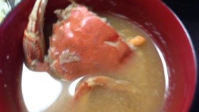 ワタリガニの味噌汁 レシピ 作り方 By まゃまゃち クックパッド 簡単おいしいみんなのレシピが361万品