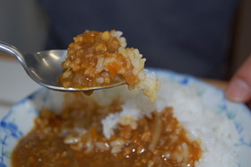 イカそぼろのカレー