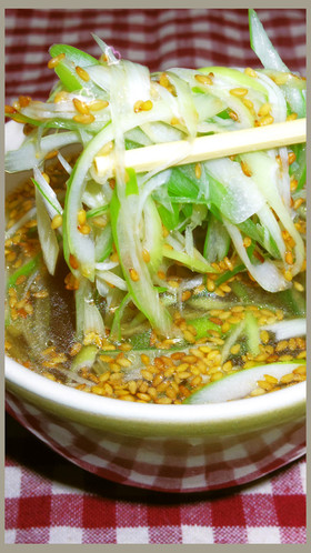 男のがっつりにんにくスープ!ねぎ大量だよ
