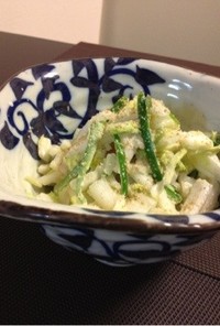 白菜とピーマン、竹輪のサラダ