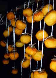 みんなが作ってる 干し柿 紐のレシピ クックパッド 簡単おいしいみんなのレシピが355万品