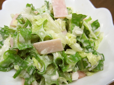 四角豆の入ったコールスローサラダの写真