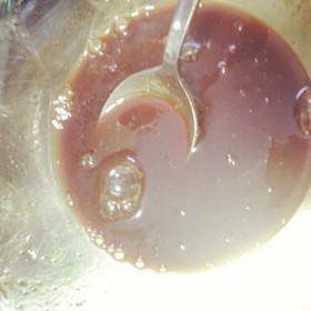 キャラメルソースになった☆カラメルソース