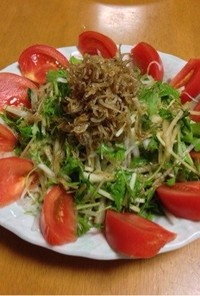 ☆大根と水菜のジャコのせサラダ☆
