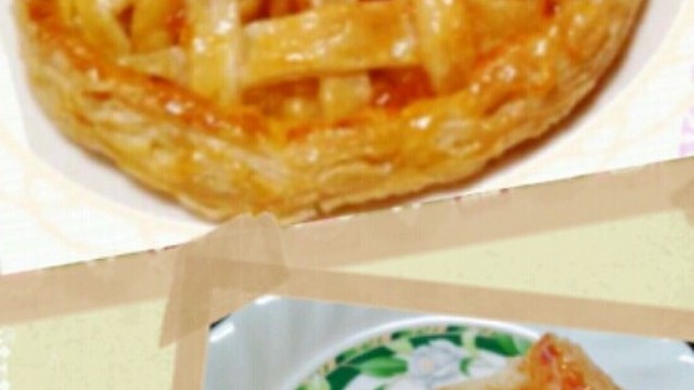 パイシート 売り場