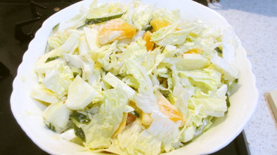 白菜と柿の甘酸っぱーいサラダの写真