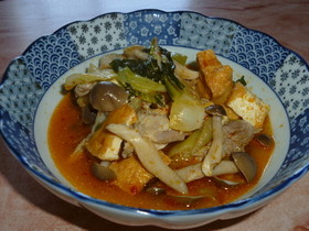 チンゲン菜と鶏肉の四川風炒め