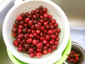 クランベリーパイナップルソースのレシピ