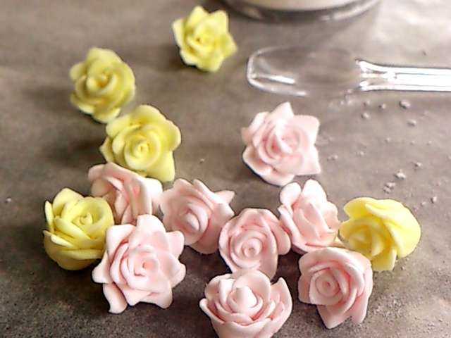 ぜいたくマシュマロ 花 最高の花の画像