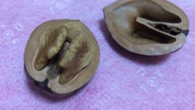 かた い胡桃の殻割り レシピ 作り方 By お一人様キッチン クックパッド 簡単おいしいみんなのレシピが360万品
