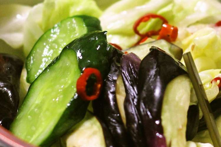 野菜の浅漬け レシピ 作り方 By クッキングsパパ クックパッド