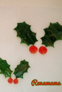 クリスマスに☆ヒイラギのワンポイント♪