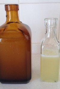 柚子と新生姜の酵素ジュース