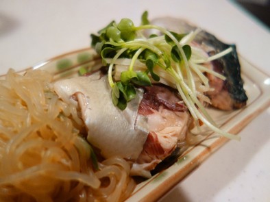 鯖と糸蒟蒻の味噌煮の写真