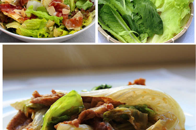 レタスの超簡単フルコース レシピ 作り方 By 食材の王国 静岡 クックパッド 簡単おいしいみんなのレシピが355万品