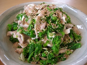かんたん冷しゃぶサラダ