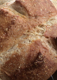 ホシノ酵母でシンプルパン