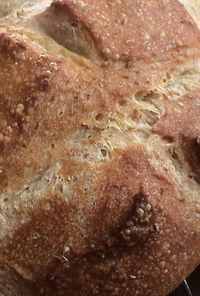 ホシノ酵母でシンプルパン