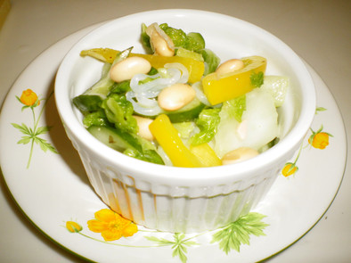 白菜ときゅうりの作り置きサラダの写真