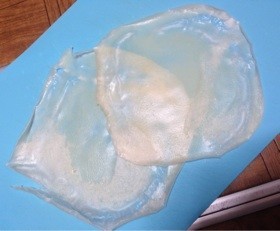 簡単!手作り春巻きの皮☆