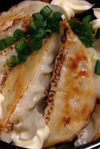 餃子丼(SPEC丼)