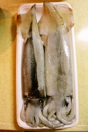 イカのさばき方☆ゲソもわたもいただきますの写真