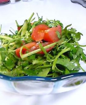 パクチーがたくさん食べたい人のサラダ