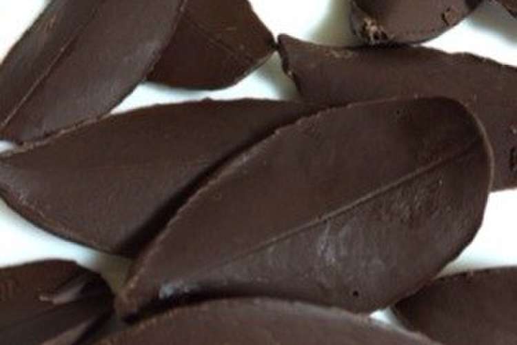 クリスマスケーキデコに リーフチョコ レシピ 作り方 By りんご クックパッド 簡単おいしいみんなのレシピが363万品