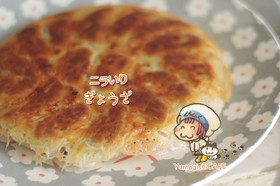 キャベツたっぷりのニラ入り餃子