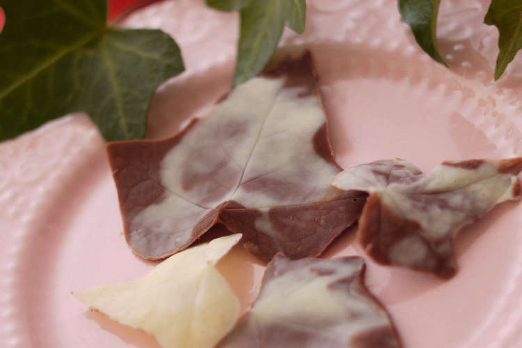 チョコレートリーフ ケーキの飾りに レシピ 作り方 By Milk Crown クックパッド 簡単おいしいみんなのレシピが360万品