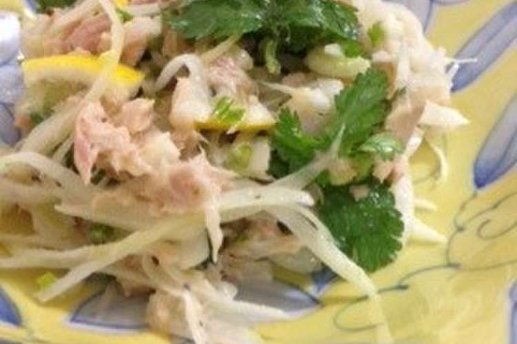 パクチーと玉ねぎのサラダ レシピ 作り方 By Yokomizo クックパッド 簡単おいしいみんなのレシピが367万品