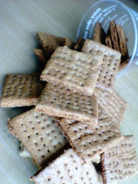 ウマッ!ガリッザクッなメープルクッキー