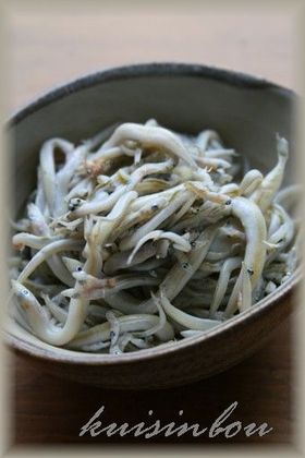 イカナゴの釜揚げ