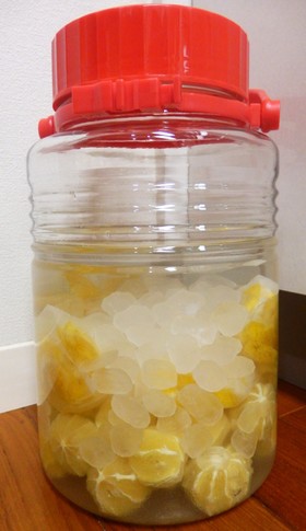 ゆず酒(果実酒)経過日記