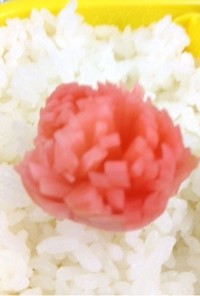 華やか！ピンクの菊花かぶ